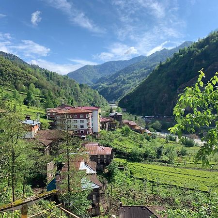 Aparthotel Koloni Apart Çamlıhemşin Exteriér fotografie